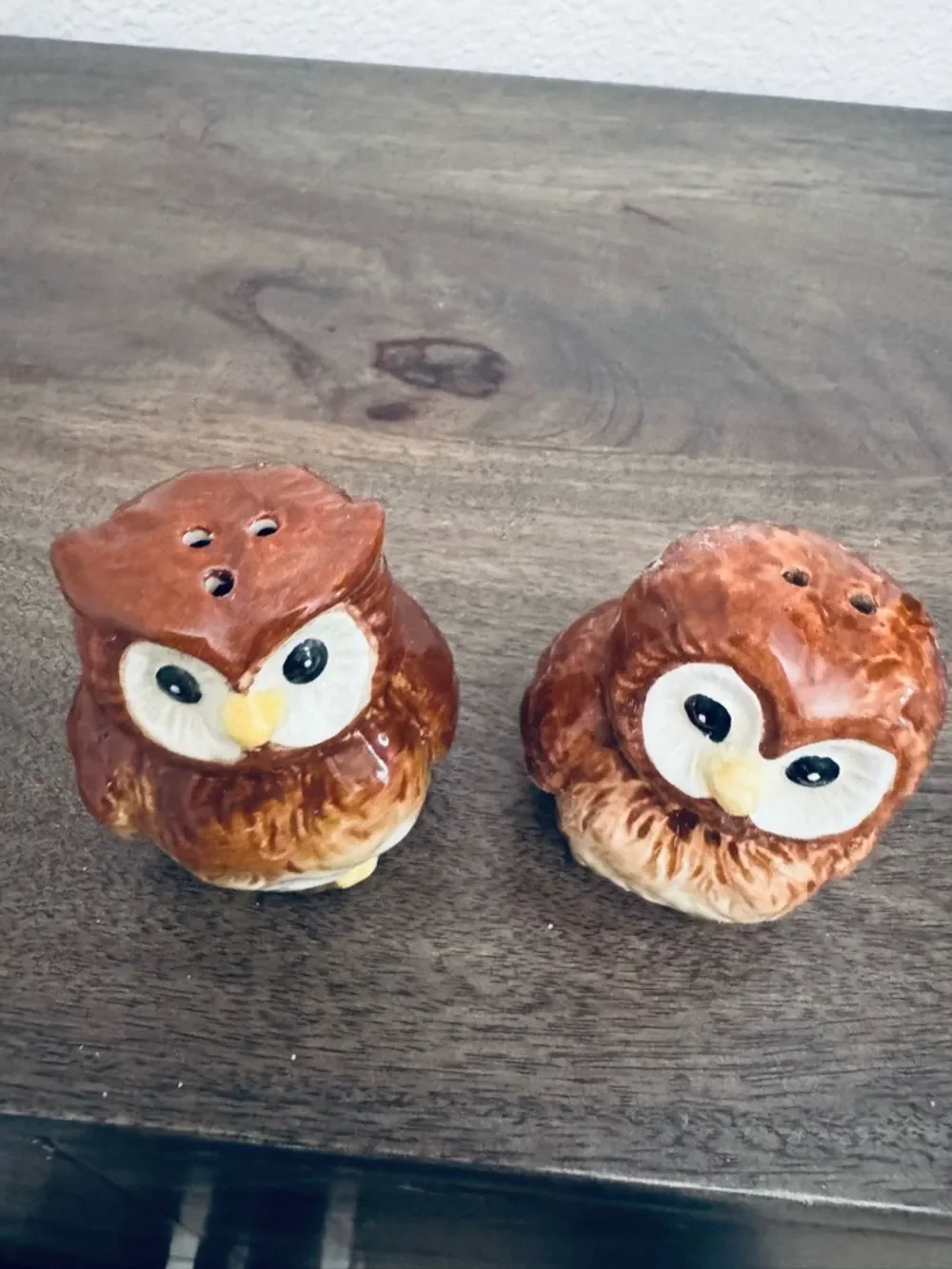Vintage Owl Ceramic Salt & Pepper Shakers Set